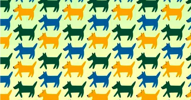 Rompicapo del cane, risolvilo